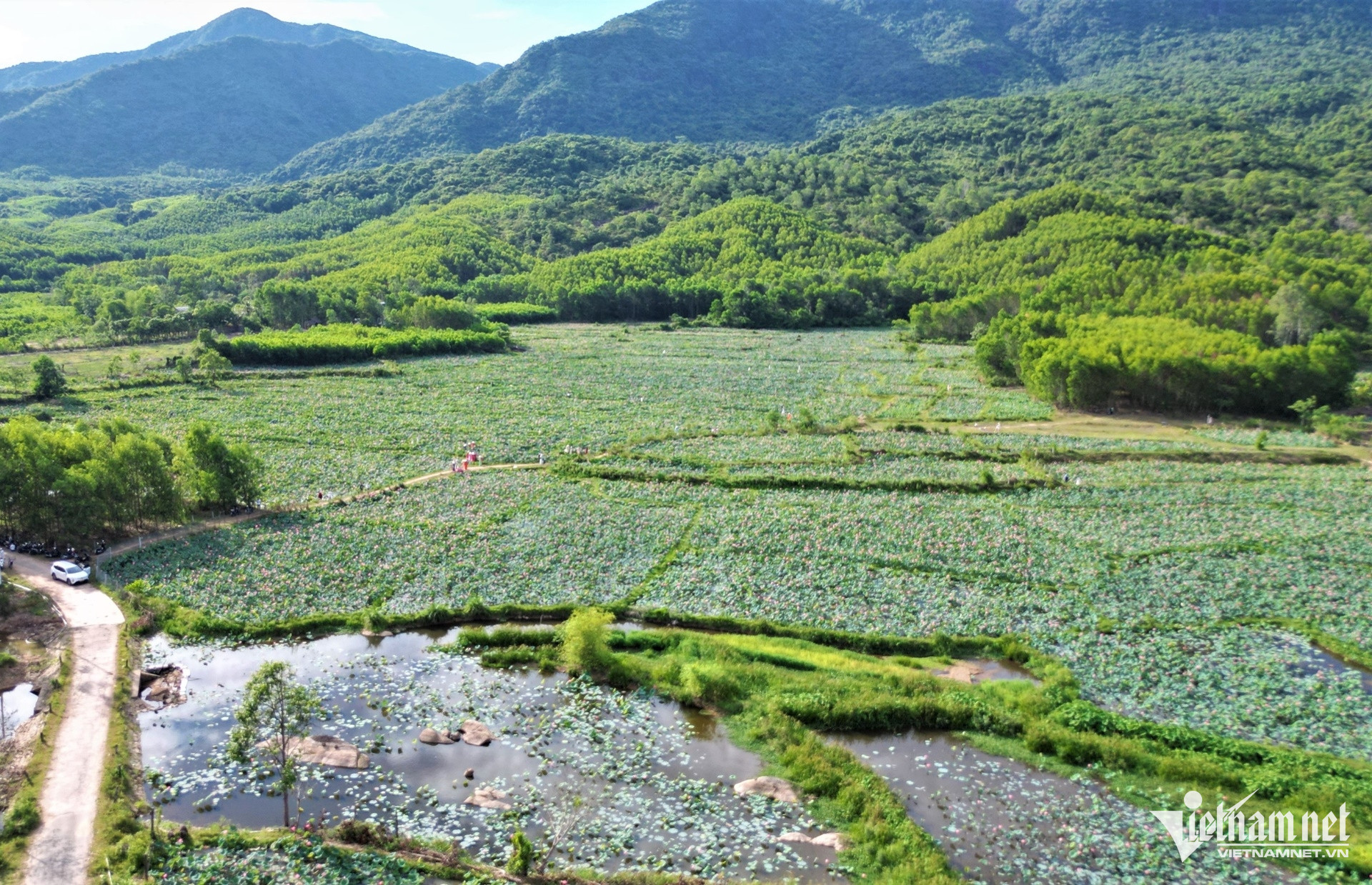 W-DJI_0419.jpg