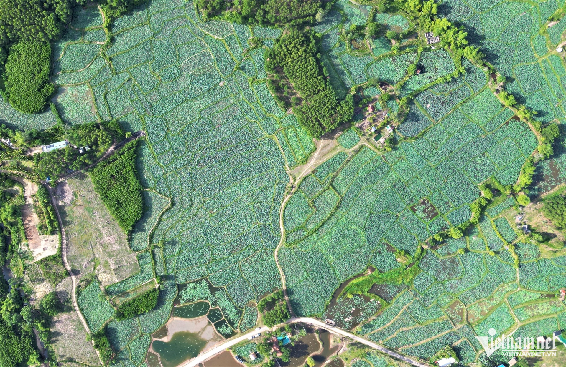 W-DJI_0474.jpg