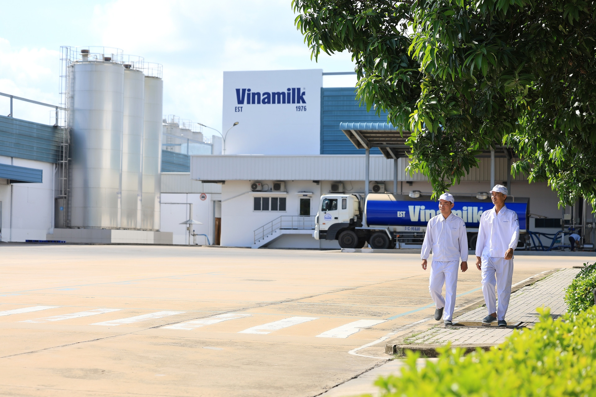 Doanh nghiệp sữa duy nhất của Việt Nam góp mặt trong Fortune Southeast Asia 500