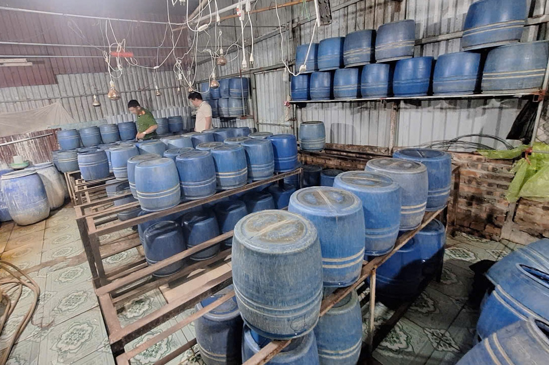 Khởi tố chủ cơ sở sản xuất gần 800kg giá đỗ bằng chất cấm