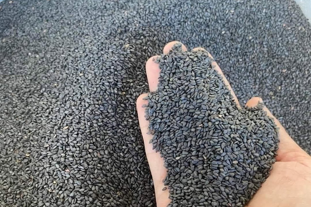 Loại hạt rẻ tiền bán đầy chợ là 'khắc tinh' của huyết áp cao, mỡ máu