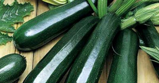 Bộ phận thường bị bỏ đi của quả bí ngòi lại chứa nhiều chất quý