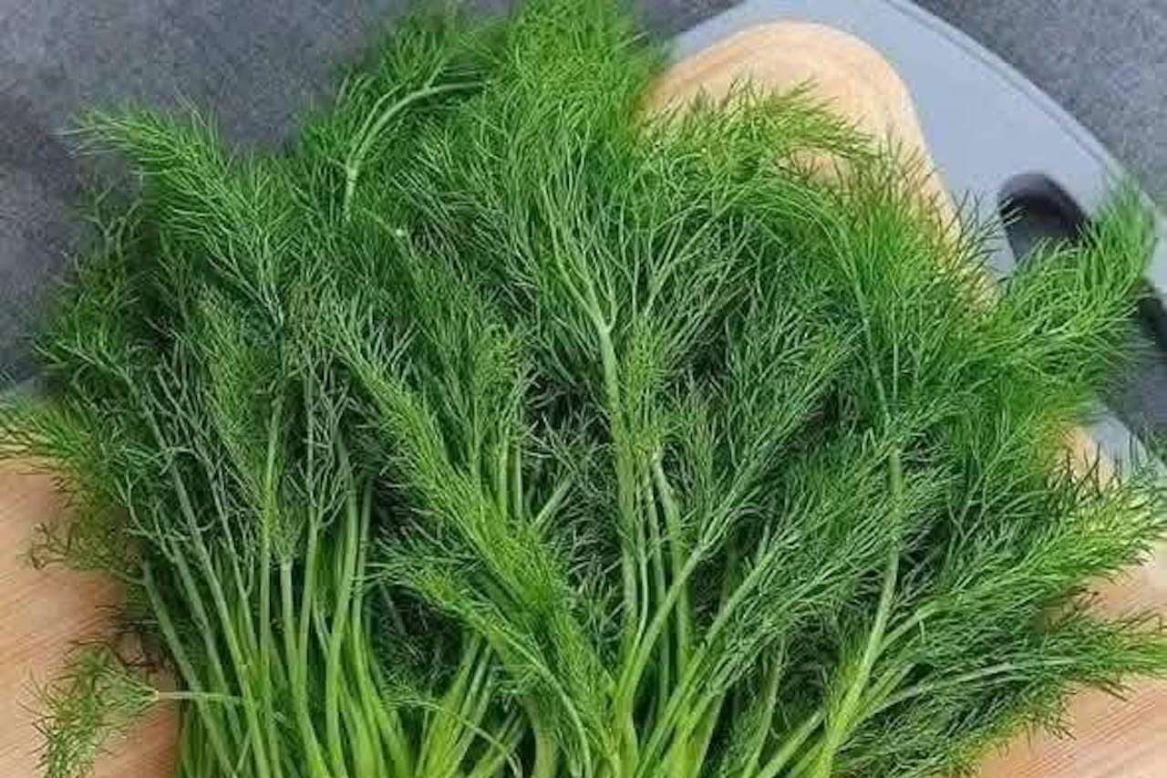 Loại rau gia vị bán đầy chợ ngừa trầm cảm, giảm đau bụng kinh
