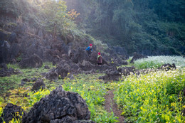 moc chau.jpg