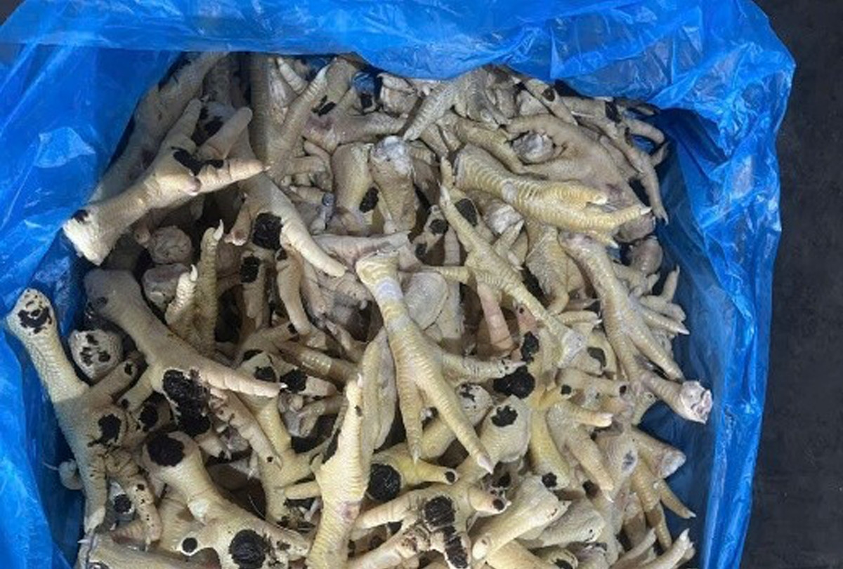 Nữ giám đốc ở Hà Nội bị khởi tố vì buôn lậu hàng nghìn tấn chân gà đông lạnh