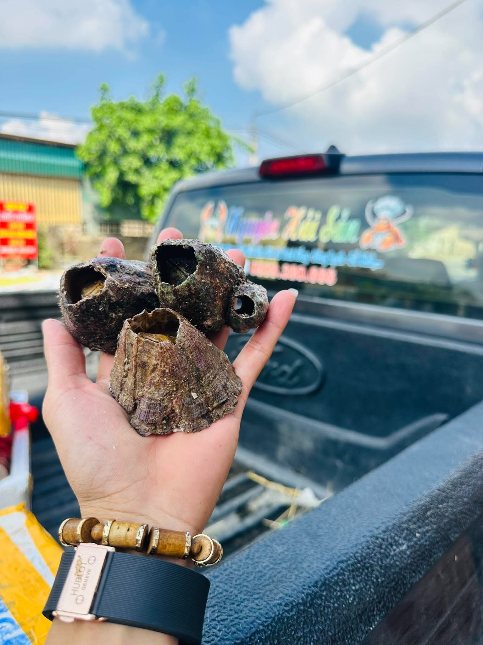 https://static-images.vnncdn.net/vps_images_publish/000001/000003/2026/6/2/709576058-2181007609406153-7365001159594174166-n-2411.jpg