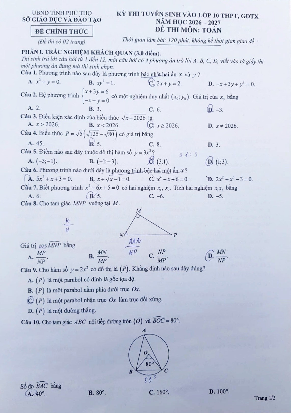 710755784_967078176308942_5284889865505949590_n.jpg
