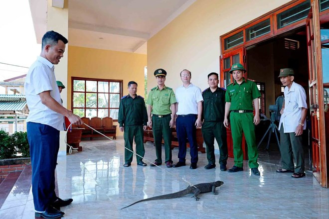 a kỳ đà.jpg