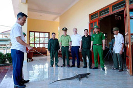 a kỳ đà.jpg