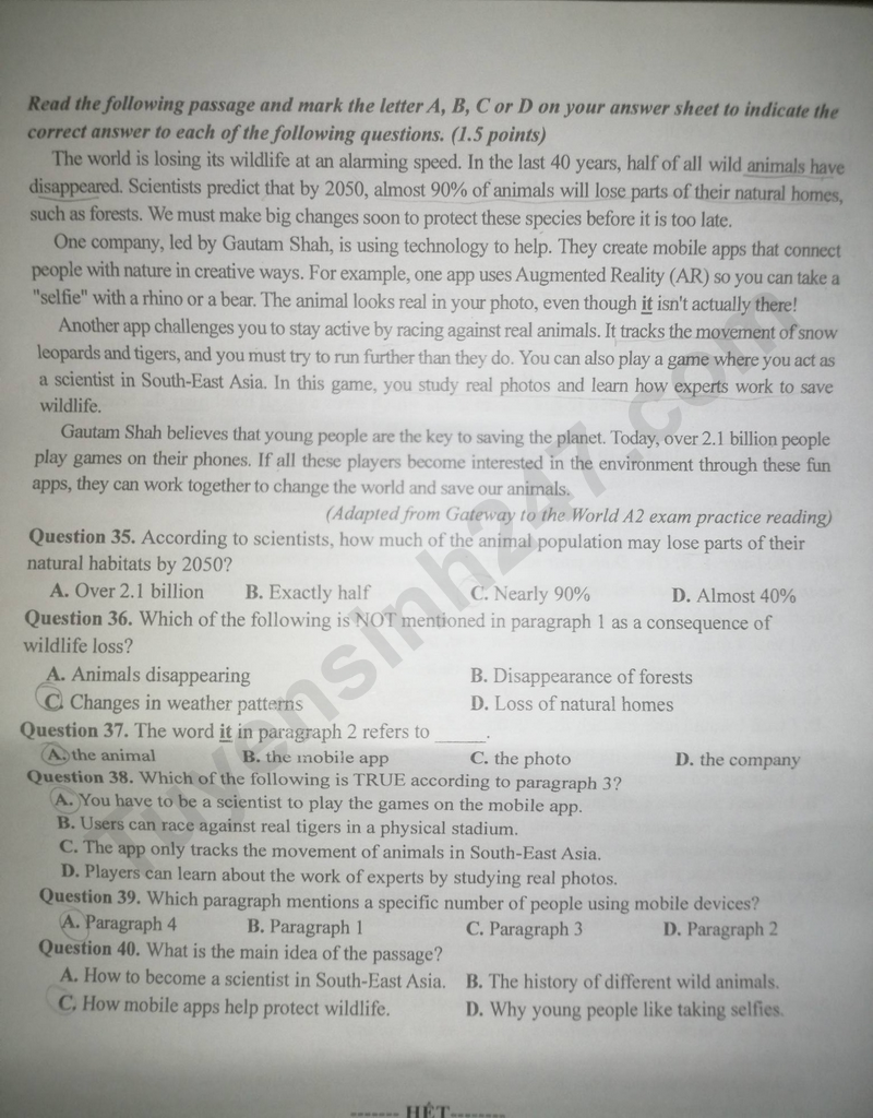 de anh an giang 4 result.png