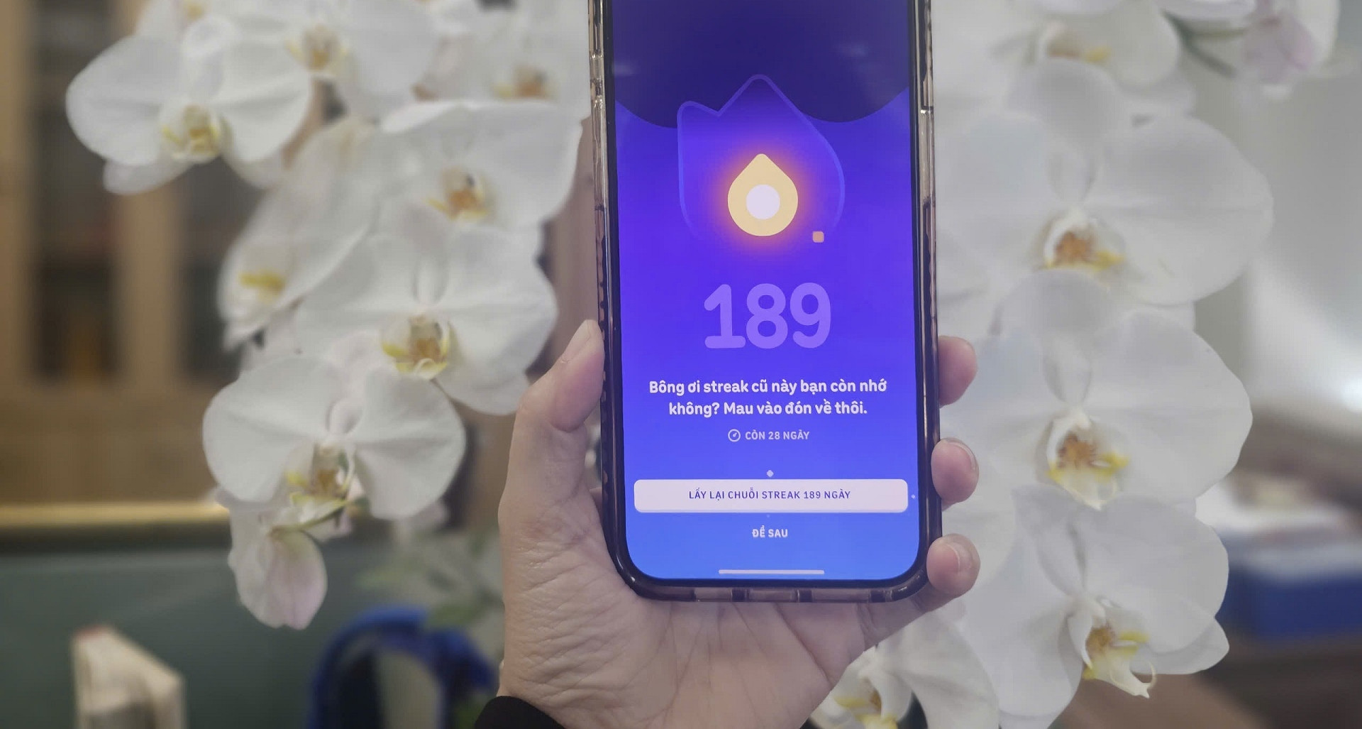 Duolingo chính thức cho khôi phục Streak đã mất