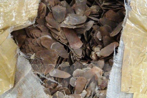 Kiểm tra thùng xốp người phụ nữ giấu gần khách sạn, phát hiện 10kg hàng cấm
