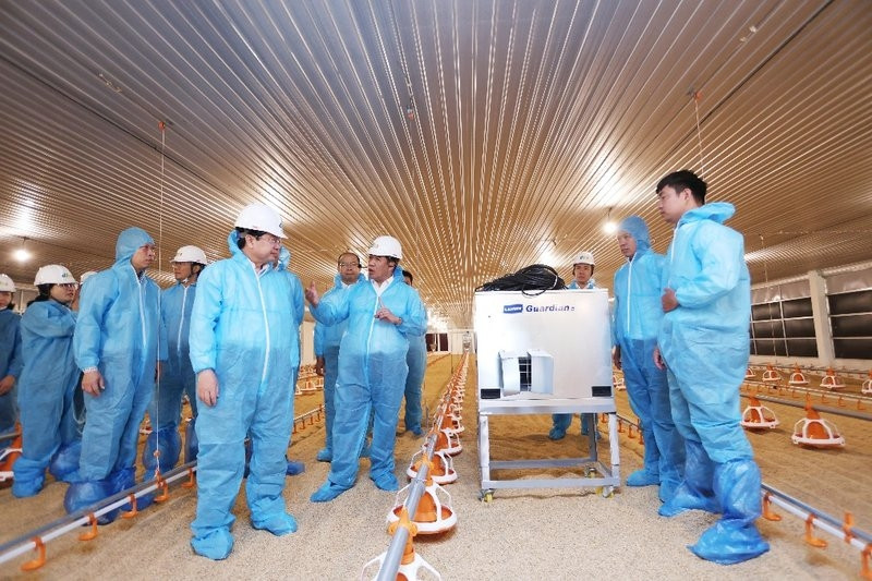 Tây Ninh: Khảo sát tiến độ Dự án chăn nuôi công nghệ cao DHN Tây Ninh 2