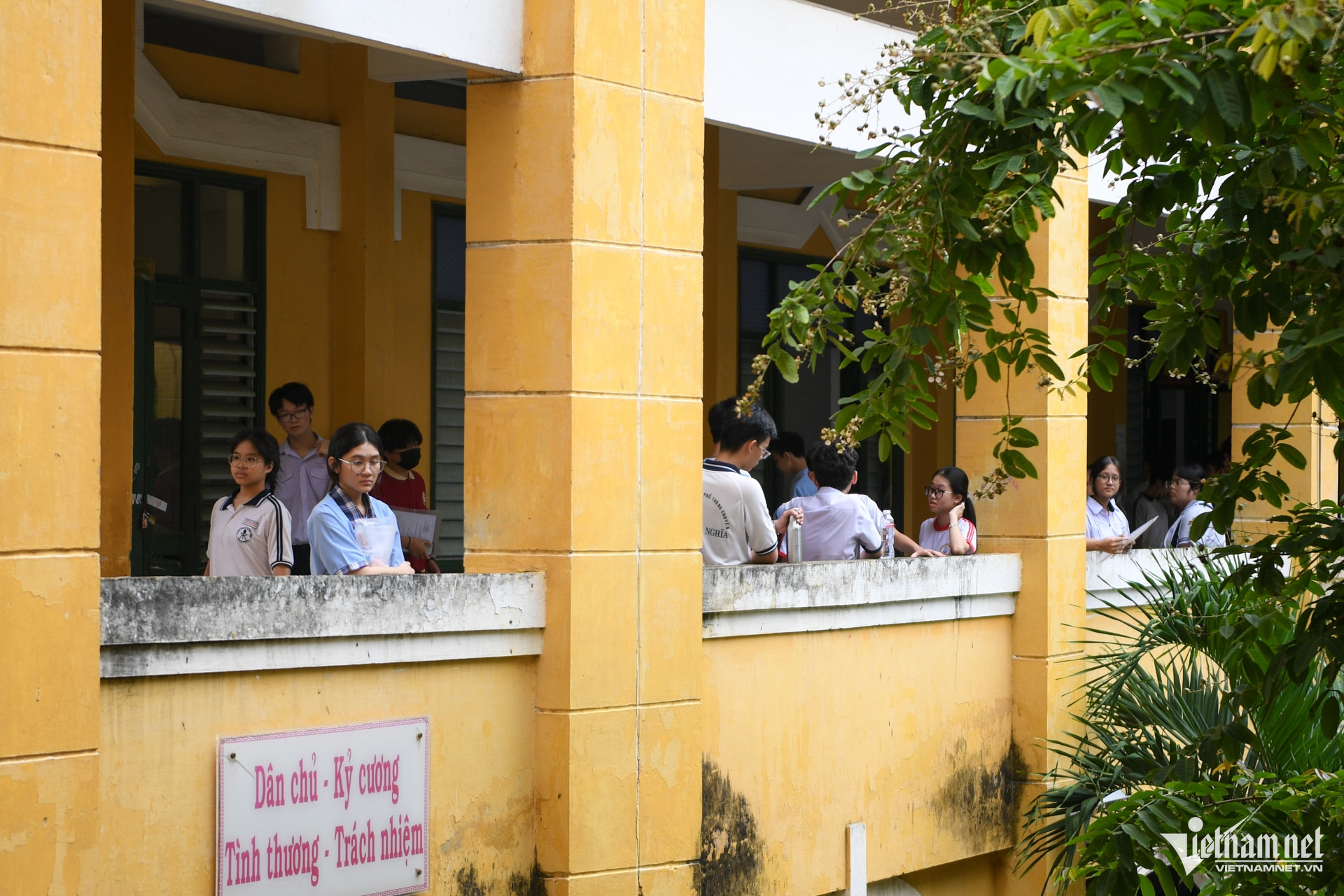 https://static-images.vnncdn.net/vps_images_publish/000001/000003/2026/6/2/w-thi-10-tphcm-nguyen-hue-30-1558.jpg