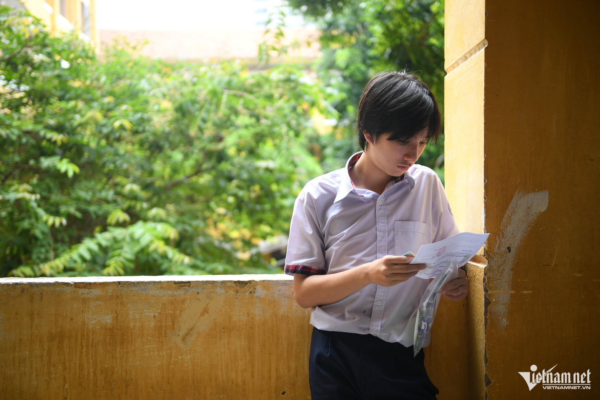 https://static-images.vnncdn.net/vps_images_publish/000001/000003/2026/6/2/w-thi-10-tphcm-nguyen-hue-31-1559.jpg