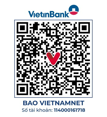 https://static-images.vnncdn.net/vps_images_publish/000001/000003/2026/6/21/vt-163-gia-huy-1787.jpg