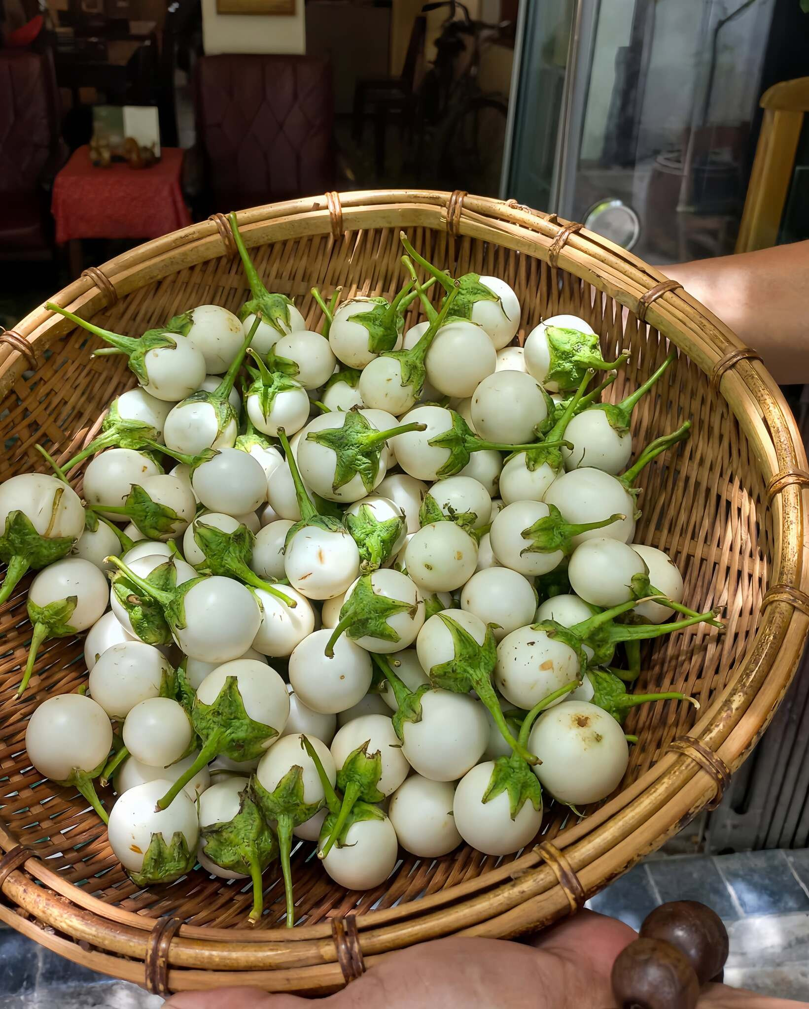 https://static-images.vnncdn.net/vps_images_publish/000001/000003/2026/6/22/ca-muoi-905.jpg