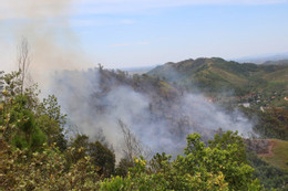 cháy rừng NA 3.jpg