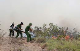 cháy rừng NA4.jpg