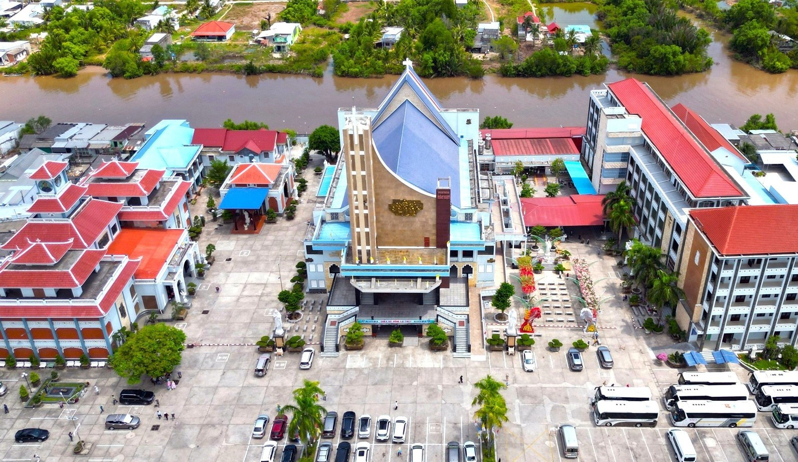 Tắc Sậy.jpg