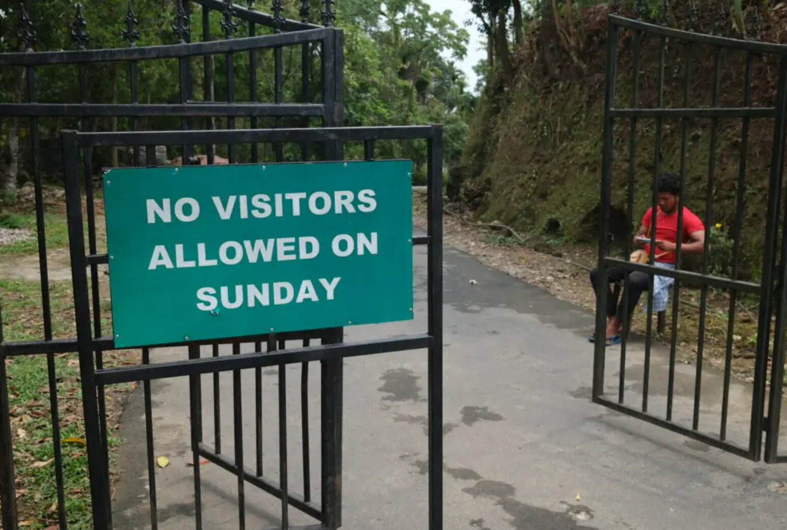 ngoilang10.jpg