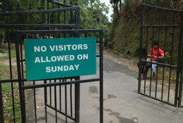 ngoilang10.jpg