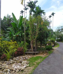 ngoilang12.jpg