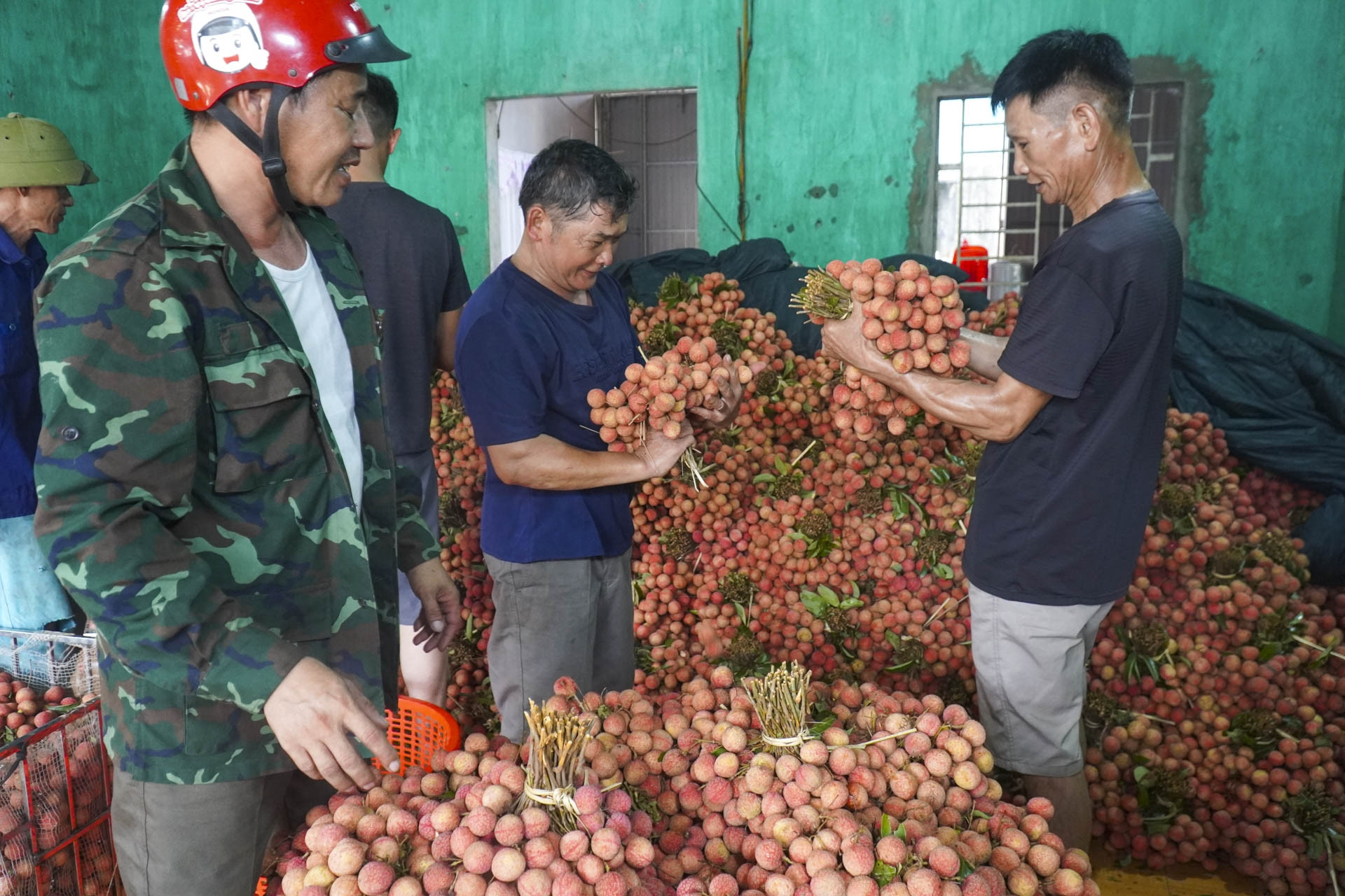 Vải thiều Bắc Ninh mất mùa nhưng thắng lớn, doanh thu gần 6.000 tỷ đồng