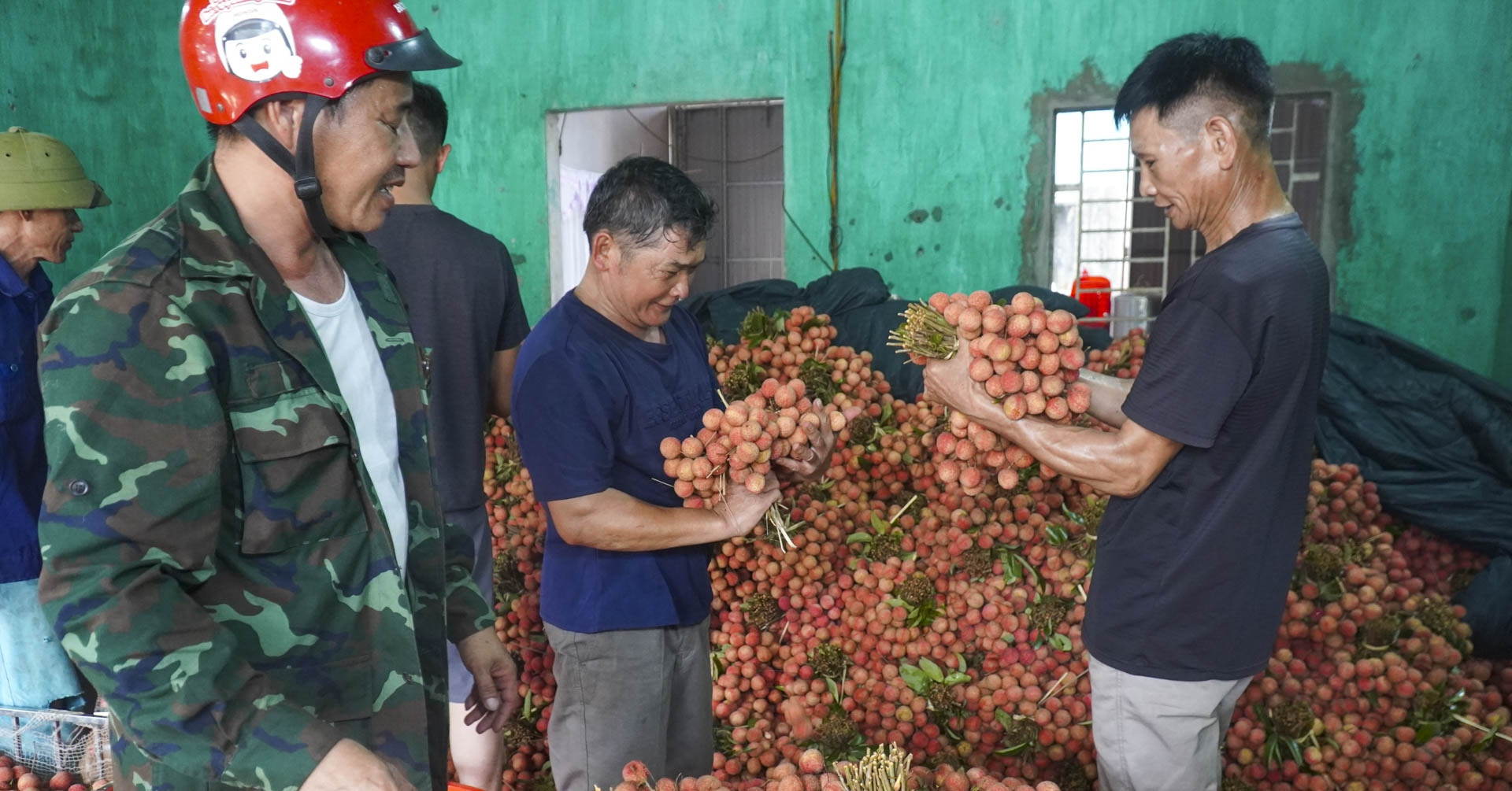 Vải thiều Bắc Ninh mất mùa nhưng thắng lớn, doanh thu gần 6.000 tỷ đồng