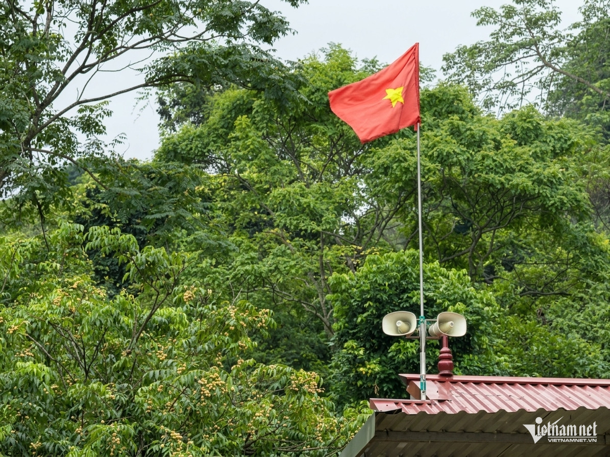 W-Anh tin 47.jpg