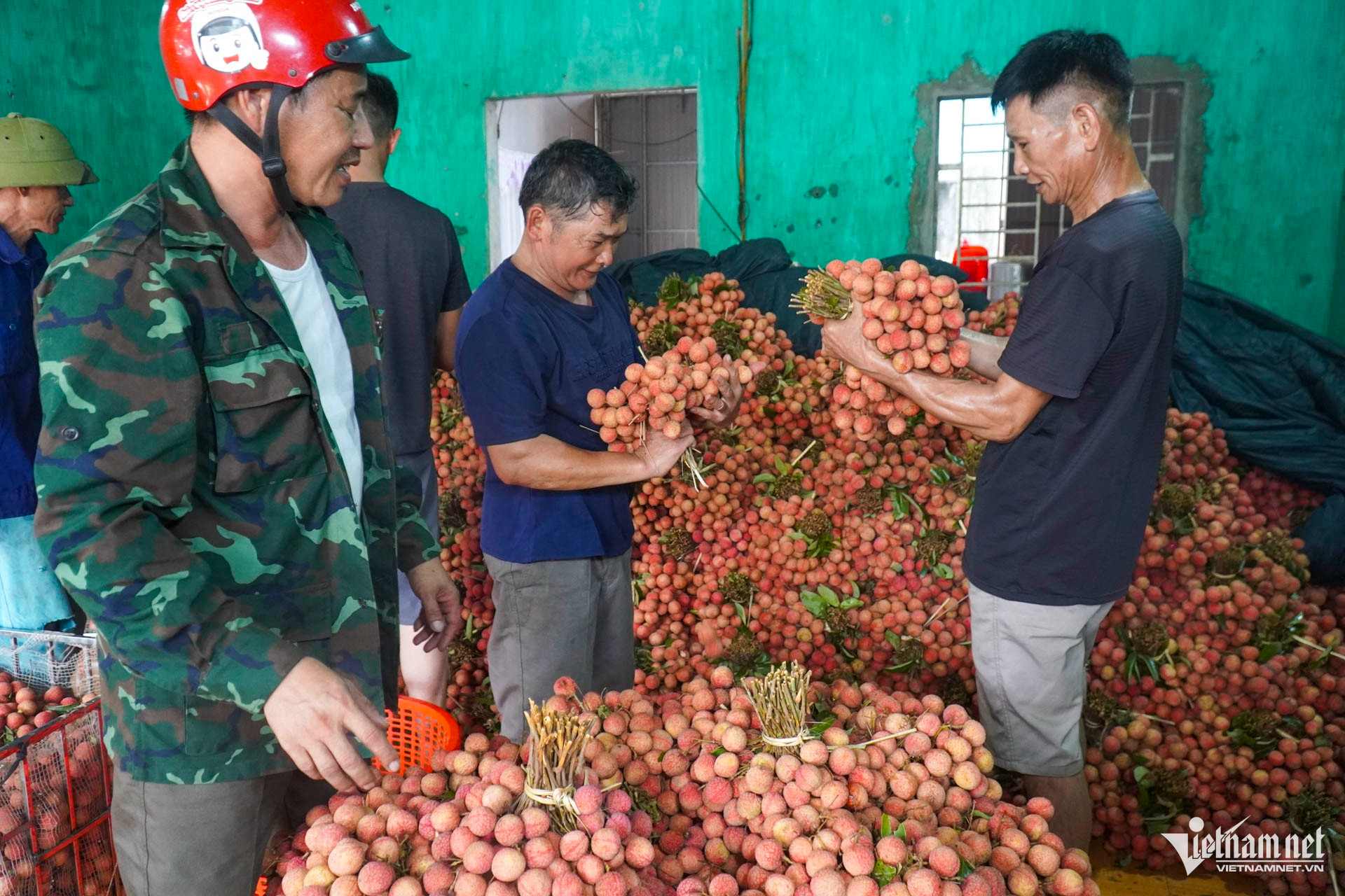 W-Vải thiều bắc ninh_19.JPG.jpg