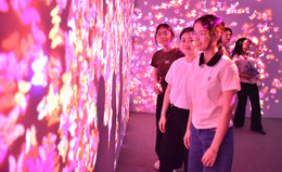 lam_9888.JPG