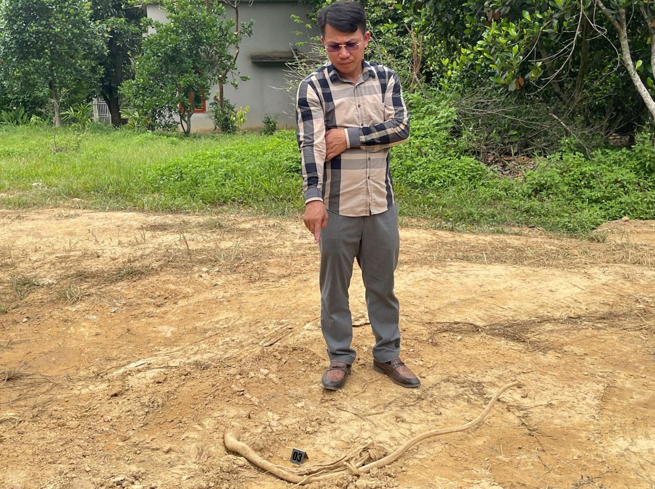 nguyen nhu manh.JPG