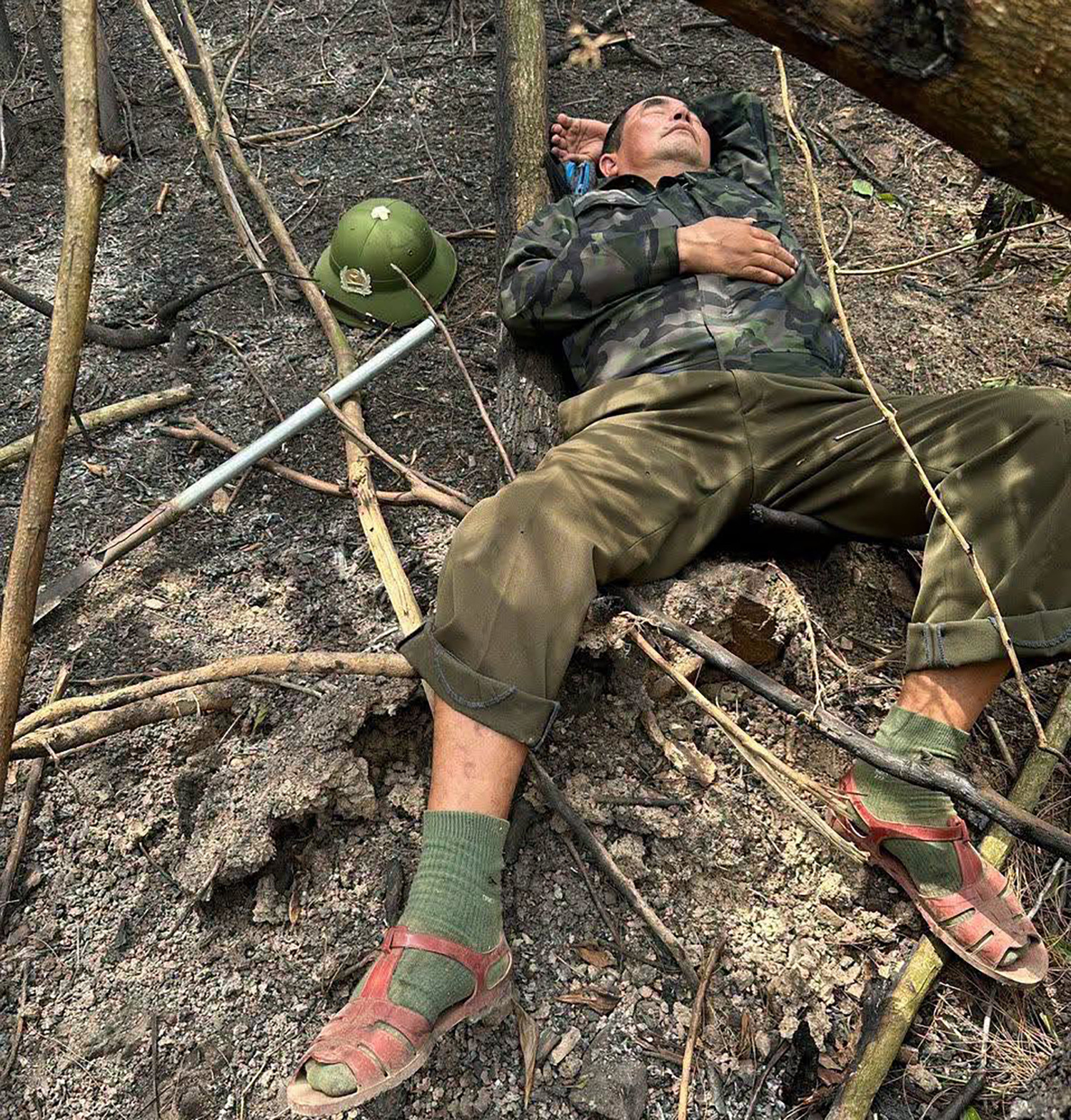 kiểm lâm.jpeg