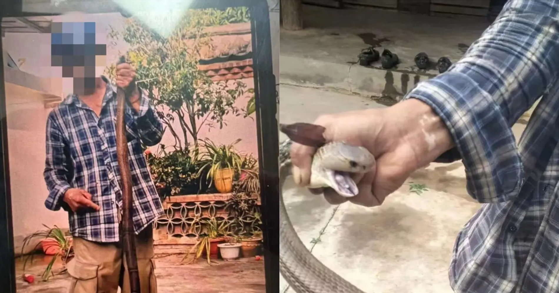 Bị rắn độc cắn vẫn chụp ảnh, người đàn ông 58 tuổi &amp;apos;chật vật&amp;apos; thoát cửa tử