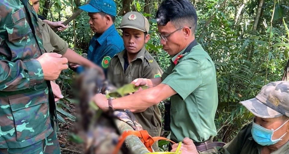 Người đàn ông tử vong trên cây cao 40m, nghi do đột quỵ