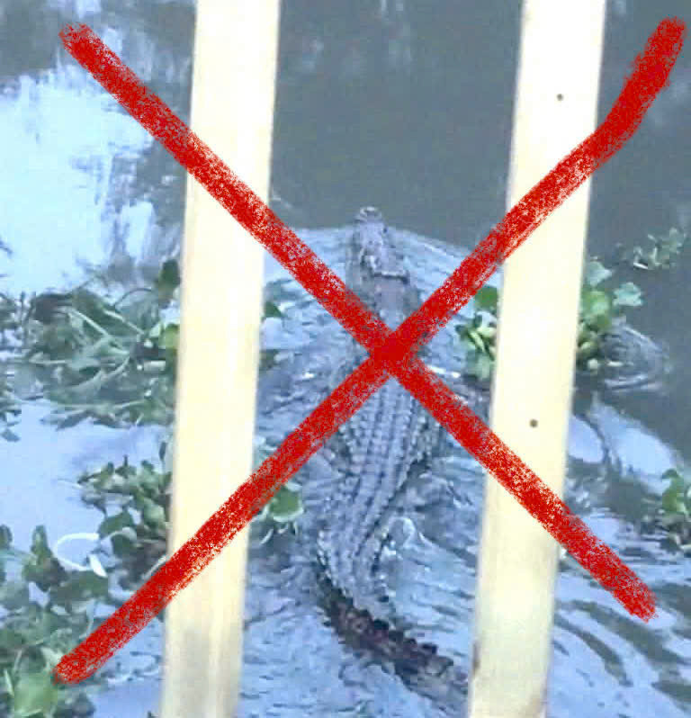 z7978959215603_66d0241c467d581586ce39cf782ceb1f.jpg