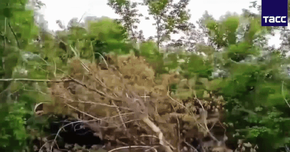 Nga phóng FPV cảm tử thiêu cháy xe tăng Leopard của Ukraine