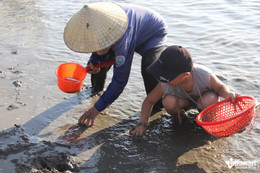 W-a vực rào4.jpg
