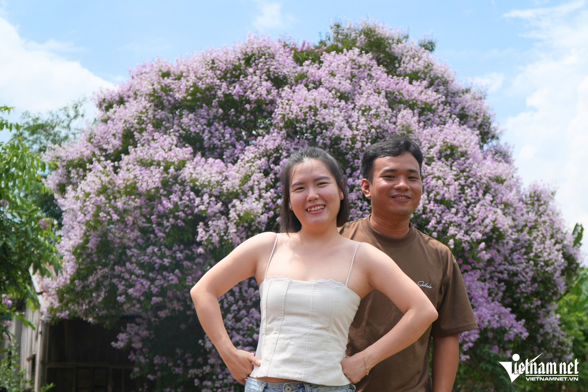 W-cay bang lang 1.jpg