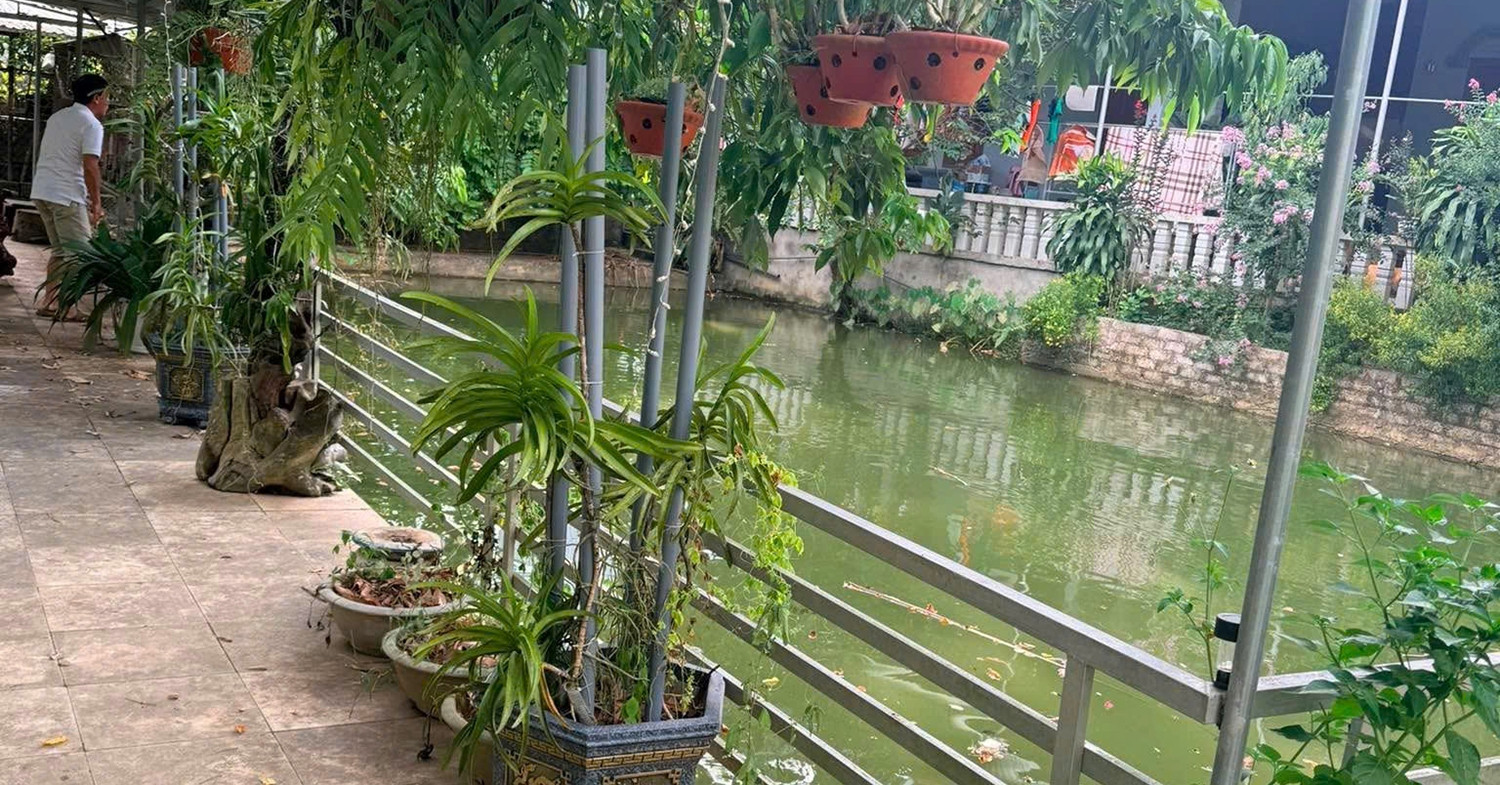 vietnamnet.vn