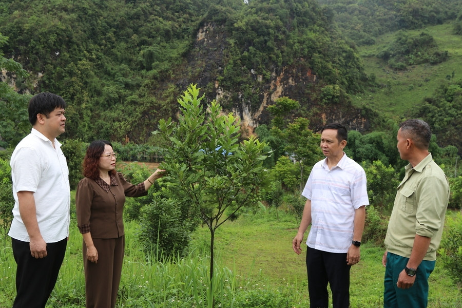 Vùng đất chiến trường xưa trở thành 