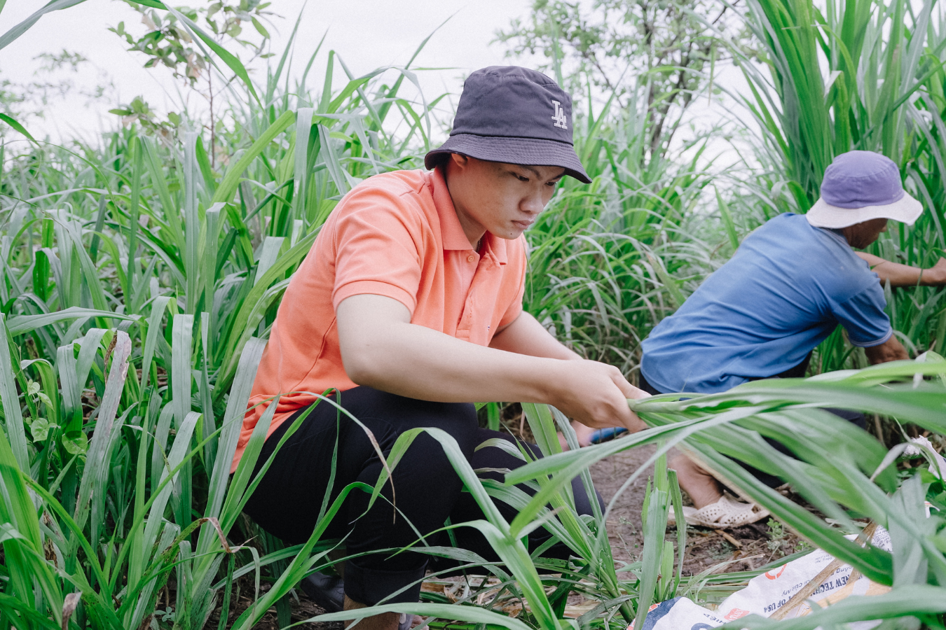‘Hành trình Tiên Phong - Ươm Mầm Xanh’ nâng bước sinh viên vượt khó