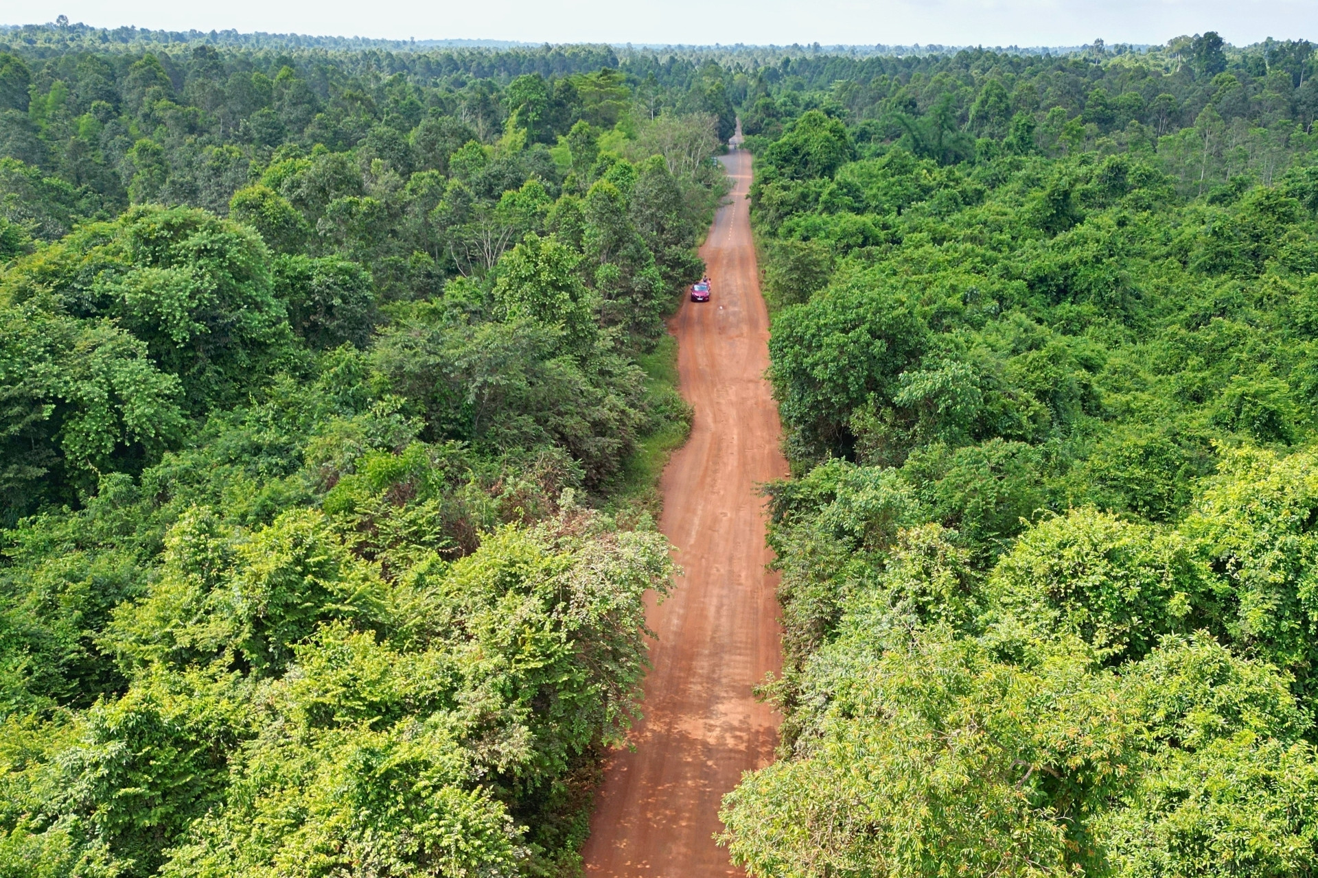 Hiện trạng tuyến đường xuyên rừng trước khi khởi công 13km cầu cạn trên cao