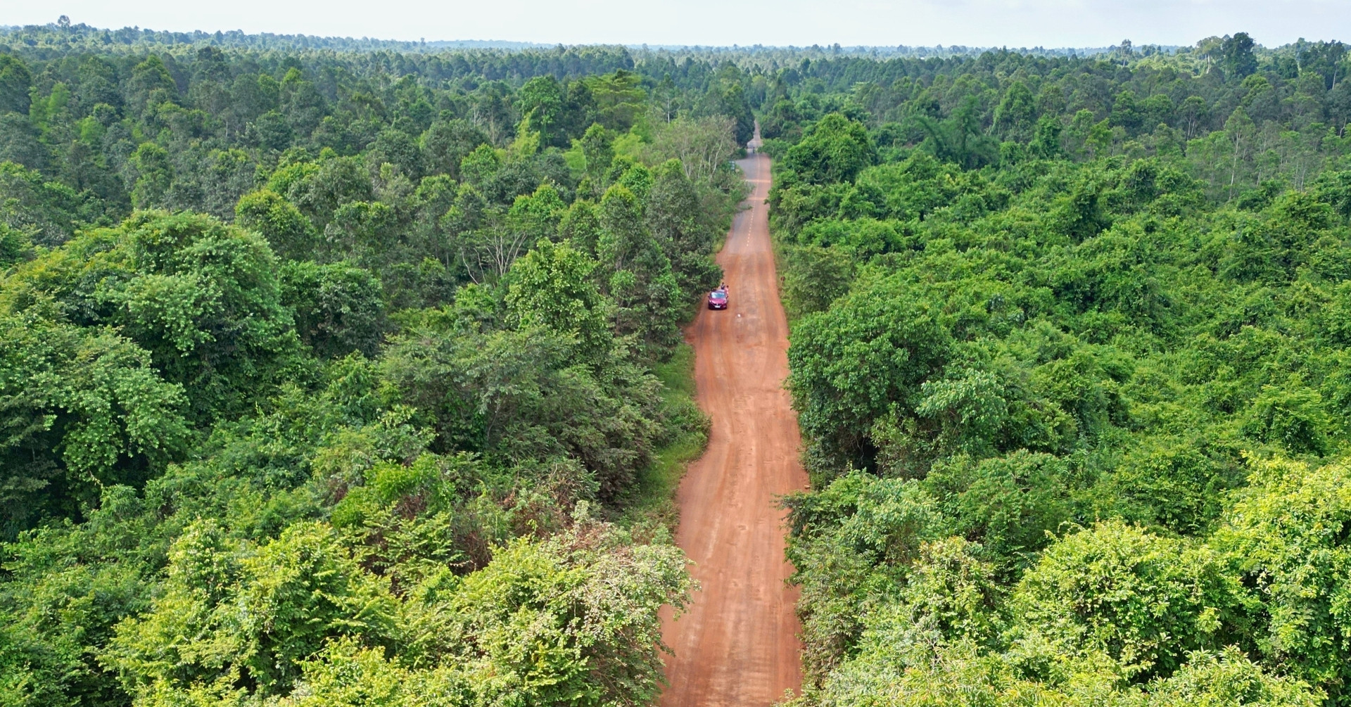 Hiện trạng tuyến đường xuyên rừng trước khi khởi công 13km cầu cạn trên cao