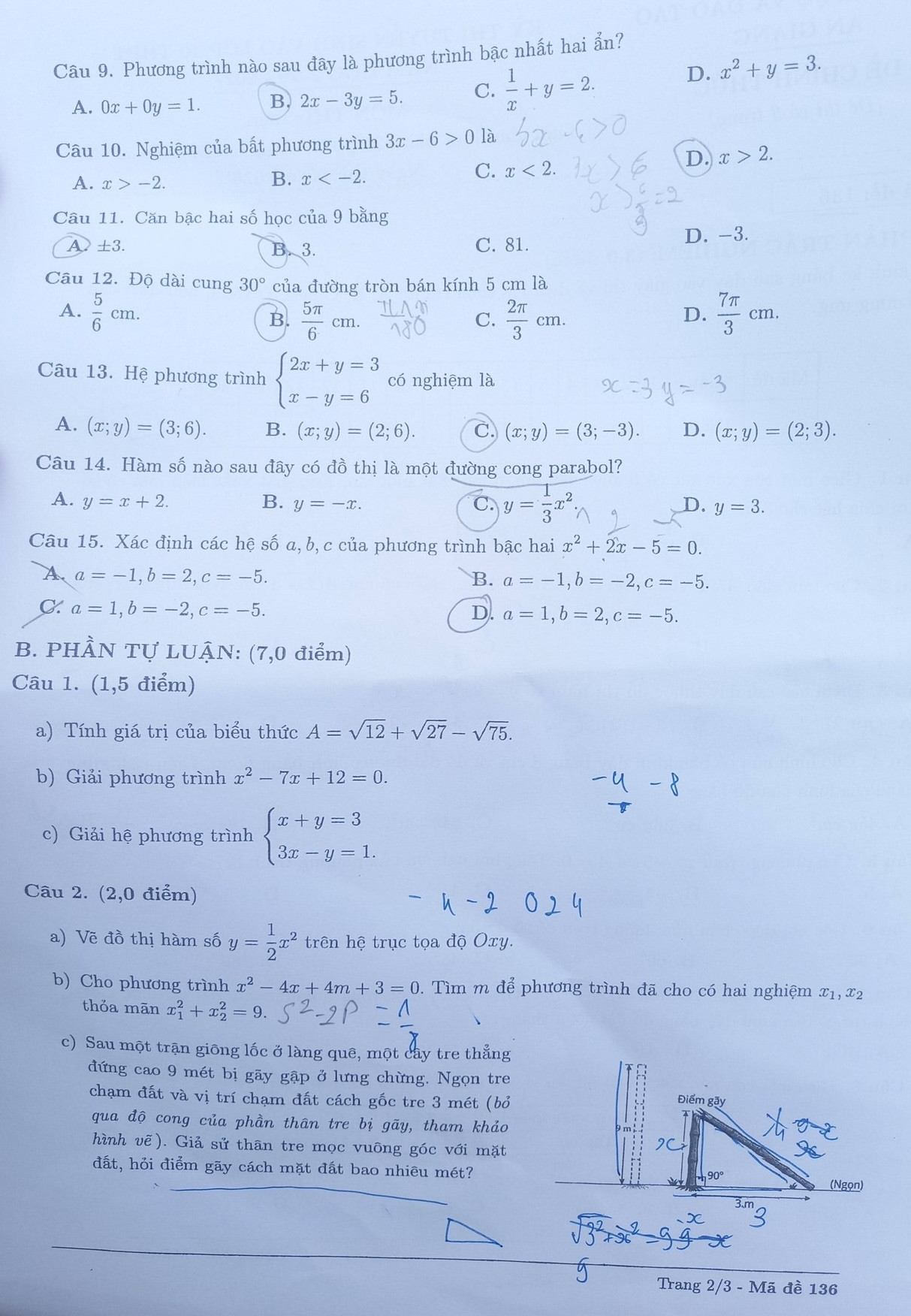 715630200_122160675278649326_7206852769192057216_n.jpg