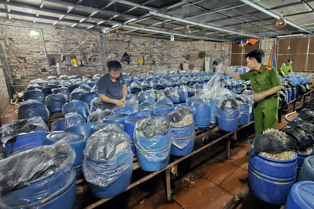 Ba chủ cơ sở 'tuồn' gần 1.000 tấn giá đỗ ngâm 'nước kẹo' ra thị trường