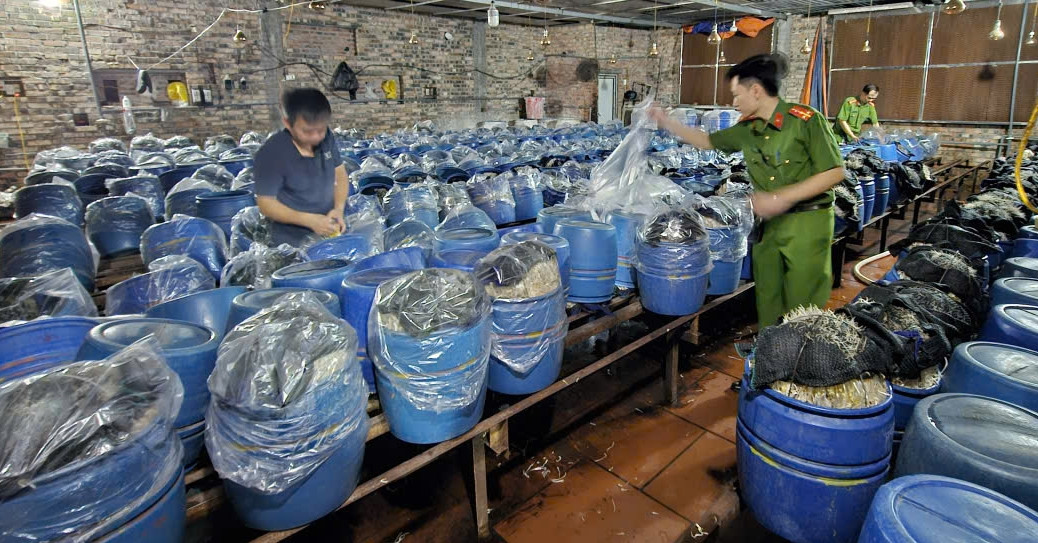 Ba chủ cơ sở &amp;apos;tuồn&amp;apos; gần 1.000 tấn giá đỗ ngâm &amp;apos;nước kẹo&amp;apos; ra thị trường
