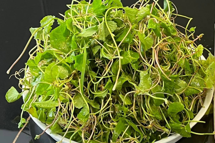 Loại rau mọc đầy bờ ruộng được ví như 