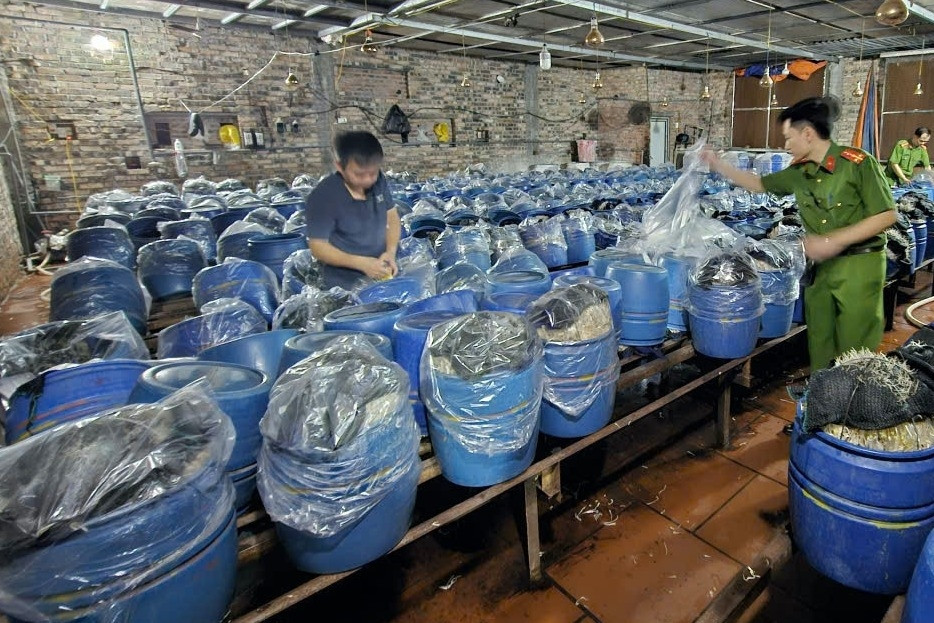 'Nước kẹo' ủ gần 1.000 tấn giá đỗ gây nguy hại ra sao tới sức khỏe?